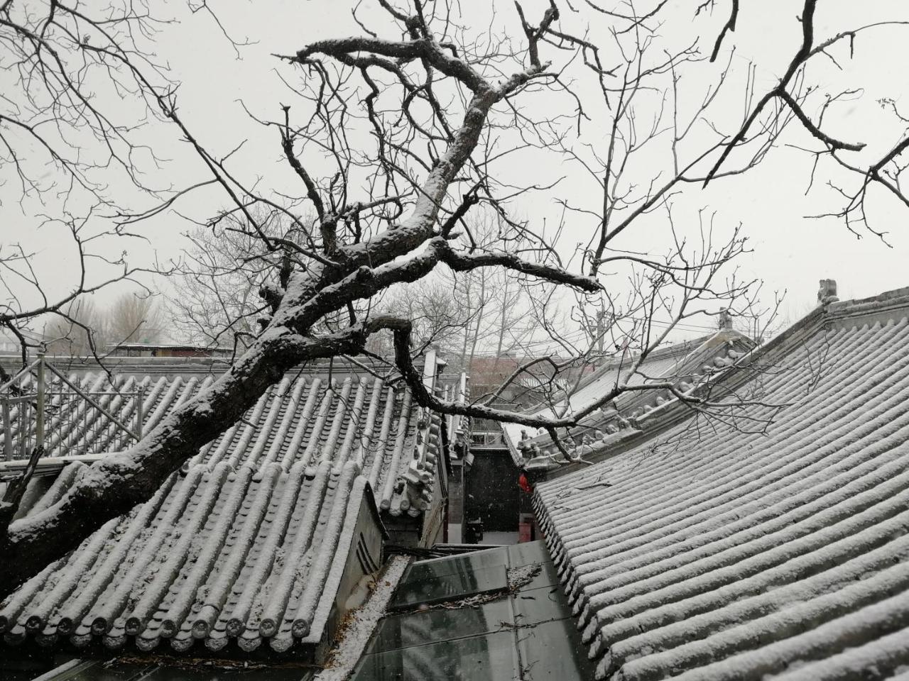 Beijing Fly By Knight Courtyard 호텔 외부 사진